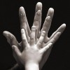 hands photo